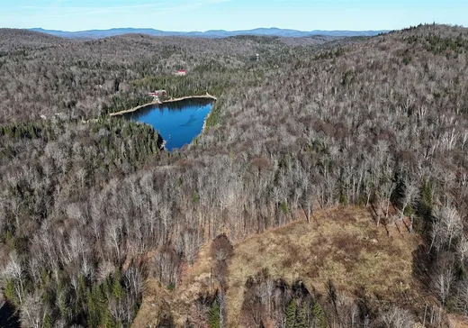 Terrain à vendre -  Ch. du Lac-Azur, Sainte-Agathe-des-Monts, J8C 2Z7