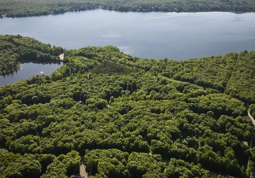 Terrain à vendre - 28 Ch. Varin, St-Donat-De-Montcalm, J0T 2C0