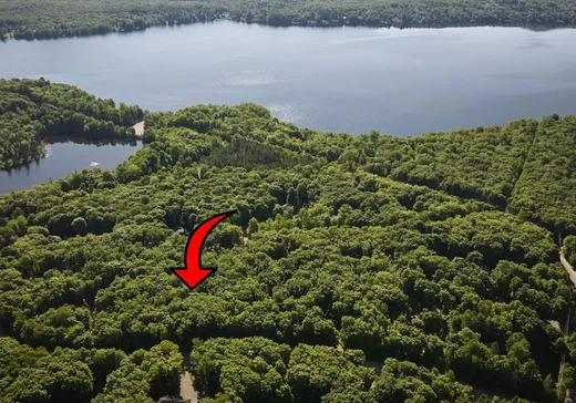 Terrain à vendre - 28 Ch. Varin, St-Donat-De-Montcalm, J0T 2C0