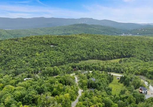 Terrain à vendre -  Rue du Mont-Washington, Mont-Tremblant, J0T 1M0