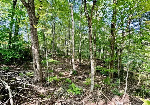 Land for Sale -  Rue des Fauvettes, Gore, J0V 1K0