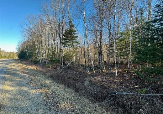 Land for sale -  Mtée du Lac-Marsan, Rivière-Rouge, J0T1T0