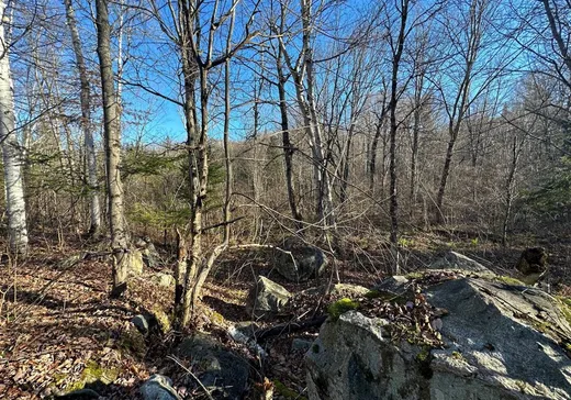 Land for Sale -  Mtée du Lac-Marsan, Rivière-Rouge, J0T 1T0