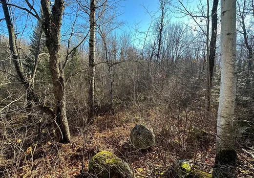 Land for Sale -  Mtée du Lac-Marsan, Rivière-Rouge, J0T 1T0