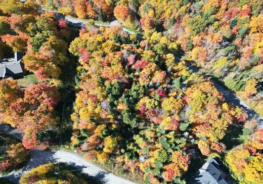 Terrain à vendre -  Imp. de la Vallée, Sainte-Agathe-des-Monts, J8C 2Z7