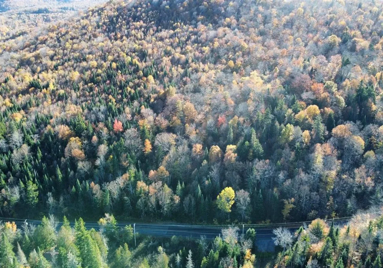 Terrain à vendre -  Ch. des Lacs, Mont-Tremblant, J0T 1J2