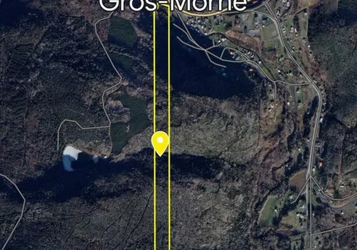 Terrain à vendre -  Ch. du Portage, L'Anse-Pleureuse, G0E1L0