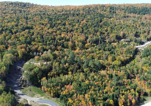 Terrain à vendre -  Ch. des Bêtes-Puantes, Trois-Rives, G0X2C0