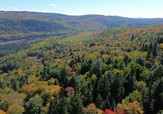 Terrain à vendre -  Ch. des Bêtes-Puantes, Trois-Rives, G0X 2C0