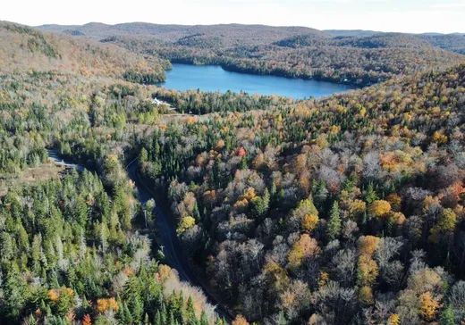 Terrain à vendre -  Ch. des Lacs, Mont-Tremblant, J0T1J2