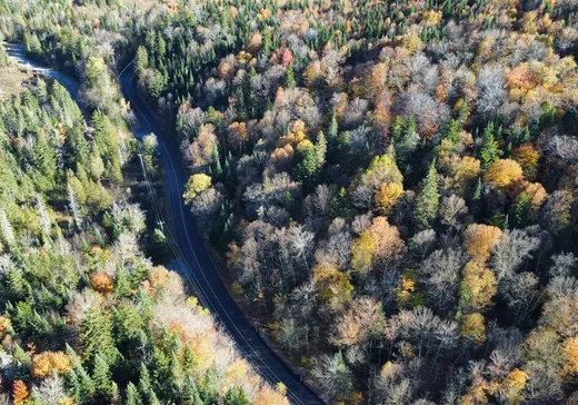 Terrain à vendre -  Ch. des Lacs, Mont-Tremblant, J0T 1J2