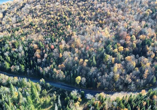 Terrain à vendre -  Ch. des Lacs, Mont-Tremblant, J0T 1J2