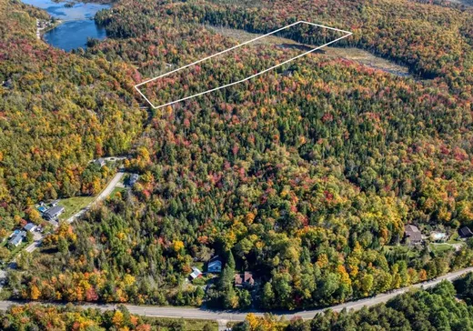 Terrain à vendre -  Ch. du Lac-Pilon, Sainte-Adèle, J8B1N9
