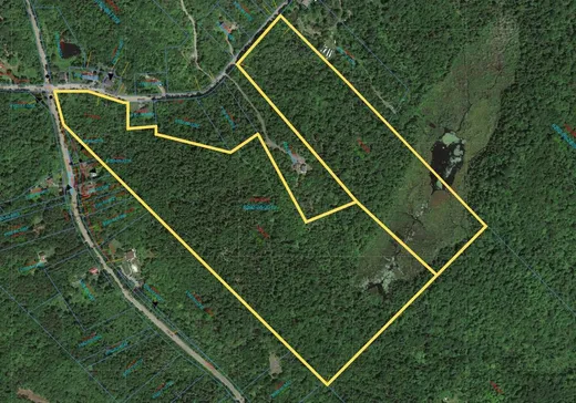 Terrain à vendre -  Ch. du Lac-Pilon, Sainte-Adèle, J8B 1N9