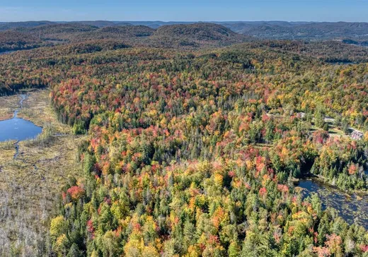 Terrain à vendre -  Ch. du Lac-Pilon, Sainte-Adèle, J8B 1N9