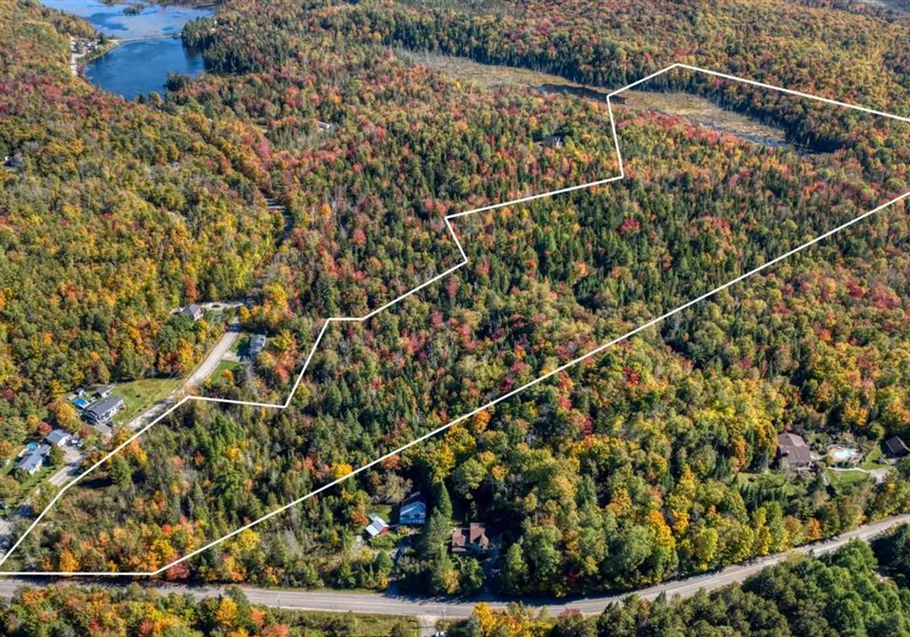 Terrain à vendre -  Ch. du Lac-Pilon, Sainte-Adèle, J8B 1N9