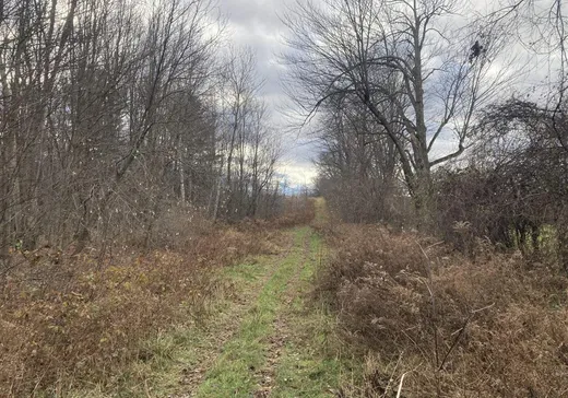 Terrain à vendre -  Route du Long-Sault, Lachute, J0V 1X0