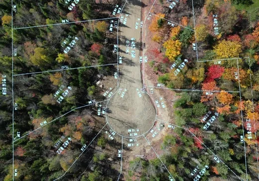 Terrain à vendre -  Rue de la Colonie, Sainte-Adèle, J8B 3G3