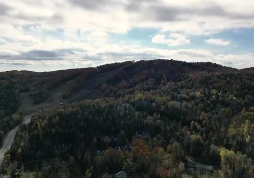 Terrain à vendre -  Rue de la Colonie, Sainte-Adèle, J8B 3G3