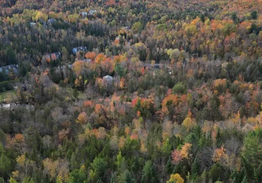 Terrain à vendre -  Rue de la Colonie, Sainte-Adèle, J8B 3G3