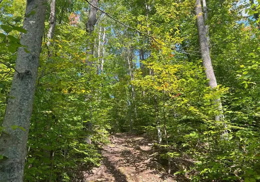 Land for Sale -  Ch. de la Montagne, Sainte-Adèle, J8B 1B9