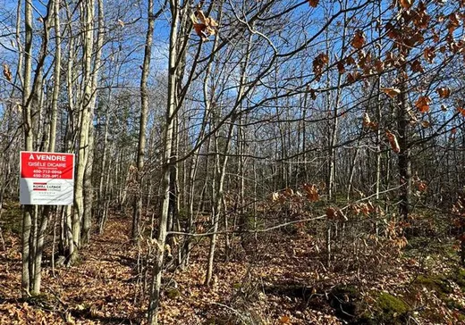 Land for sale -  Mtée Mongeau, Saint-Calixte, J0K1Z0