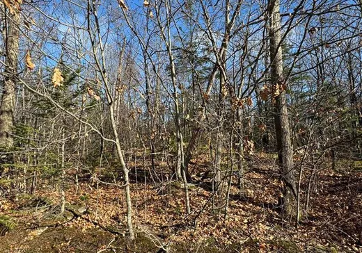 Terrain à vendre -  Mtée Mongeau, Saint-Calixte, J0K 1Z0