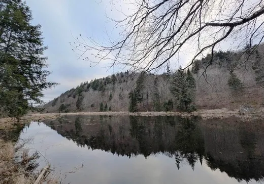 Terrain à vendre -  Ch. des Hérons, Grenville, J0V1B0