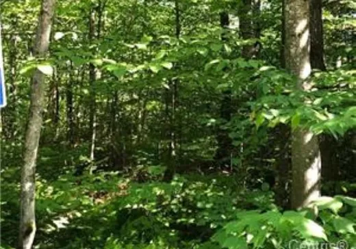 Terrain à vendre -  Ch. des Marronniers, St-Adolphe d'Howard, J0T 2B0