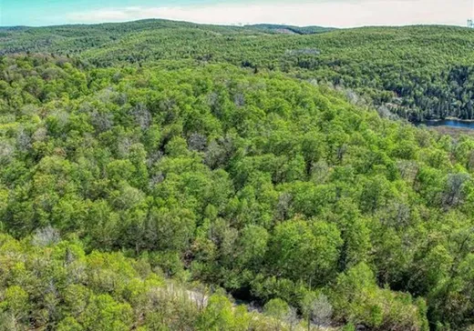 Land for sale -  Ch. de l'Héritage, St-Adolphe d'Howard, J0T2B0