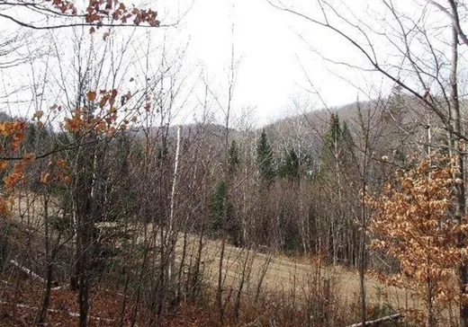 Terrain à vendre -  Ch. de l'Héritage, St-Adolphe d'Howard, J0T 2B0