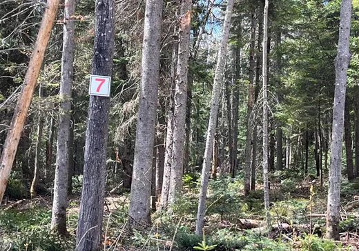 Terrain à vendre - 7 Rang (7e), Val David, J0T2N0