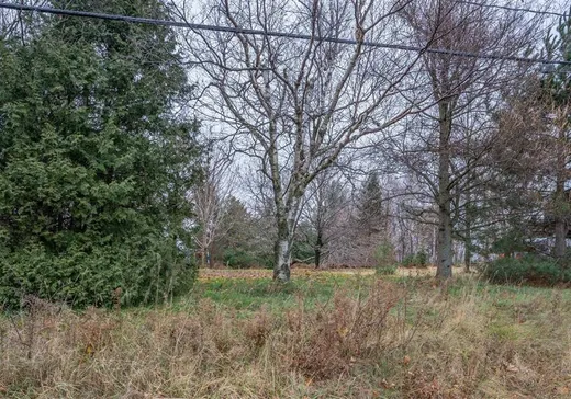 Terrain à vendre -  Route 132 O., St-Michel-de-Bellechasse, G0R 3S0