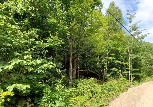 Terrain à vendre -  Ch. Caron, Notre-Dame-de-Pontmain, J0W 1S0