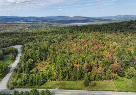 Terrain à vendre -  Av. Roy, St-Joseph-De-Coleraine, G0N1B0