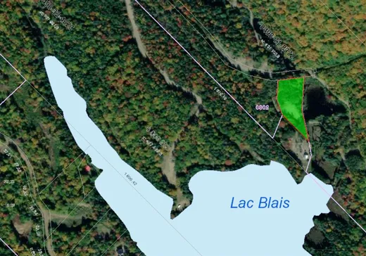 Terrain à vendre - 1425 Ch. des Cèdres S., Lac-aux-Sables, G0X1M0