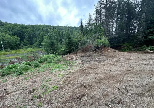 Land for Sale - 1425 Ch. des Cèdres S., Lac-aux-Sables, G0X 1M0