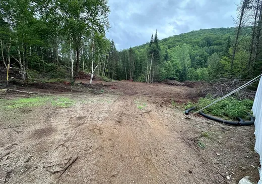 Land for Sale - 1425 Ch. des Cèdres S., Lac-aux-Sables, G0X 1M0