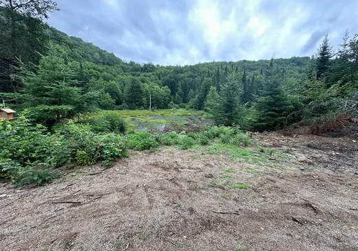 Land for Sale - 1425 Ch. des Cèdres S., Lac-aux-Sables, G0X 1M0
