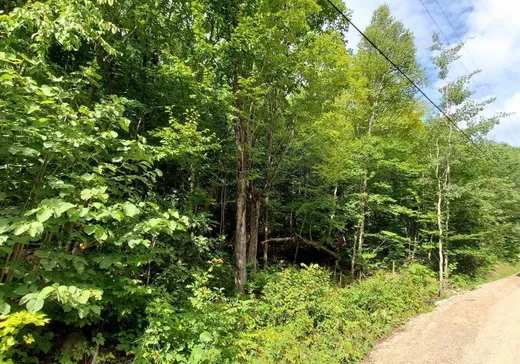 Terrain à vendre -  Ch. Caron, Notre-Dame-de-Pontmain, J0W 1S0