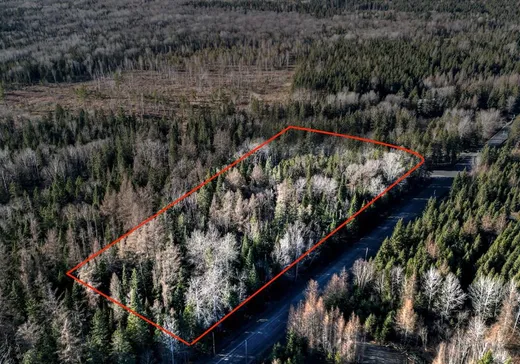 Terrain à vendre - 01 Route Taylor, Montréal (Centreville), G5Y 5C2