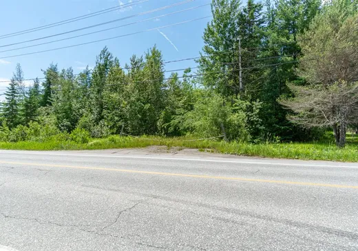 Terrain à vendre -  Ch. Godin, Sherbrooke, J1R 0L1