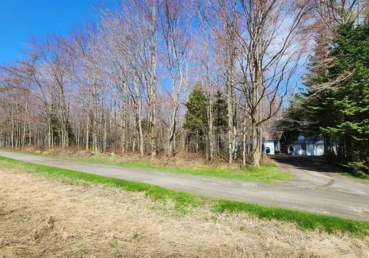 Land for sale - 623 Rue St-Louis, Saint-Narcisse-de-Beaurivage, G0S1W0