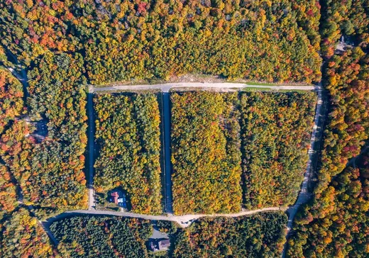 Land for Sale -  Mtée Lemay, Lac-Des-Aigles, G0K 1V0