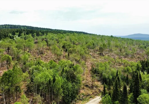 Terrain à vendre - 781 Route 283 S., St-Paul-De-Montminy, G0R 3Y0