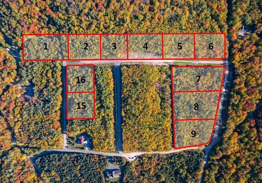 Land for Sale -  Mtée Lemay, Lac-Des-Aigles, G0K 1V0