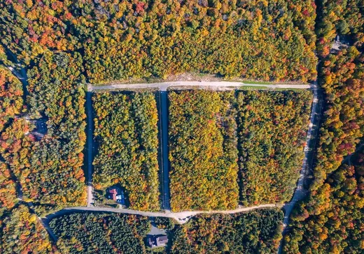 Terrain à vendre -  Mtée Lemay, Lac-Des-Aigles, G0K 1V0