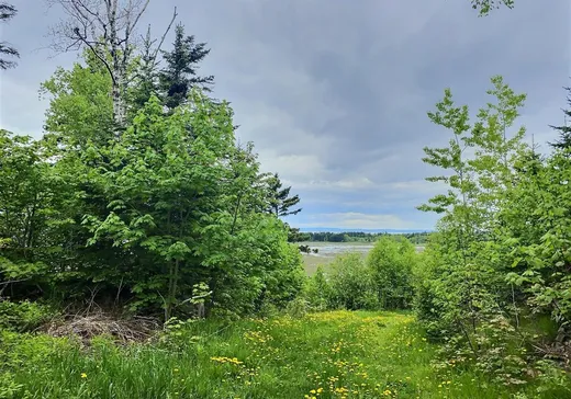 Terrain à vendre - 184 Route de l'Anse-au-Persil, Rivière-du-Loup, G5R5Z6