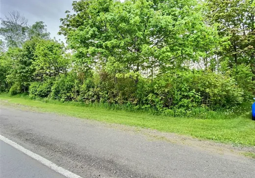 Terrain à vendre - 184 Route de l'Anse-au-Persil, Rivière-du-Loup, G5R 5Z6