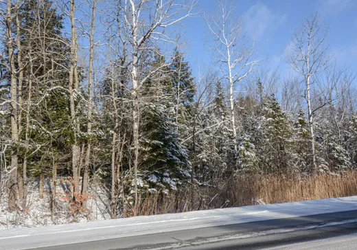 Land for Sale -  Route 220, Orford, J1X 8R8